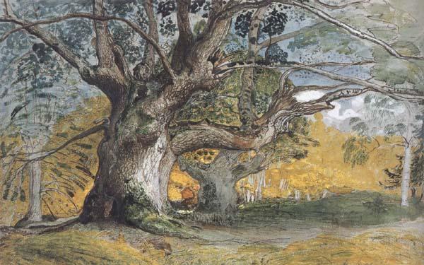 Samuel Palmer Oak Trees,Lullingstone Park china oil painting image